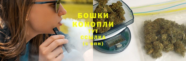 соль ск Белокуриха