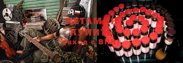 шишки Богородицк